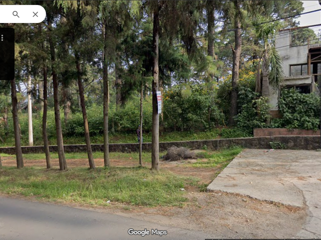 place photo 7
