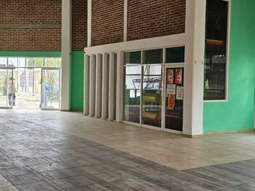 place photo 11