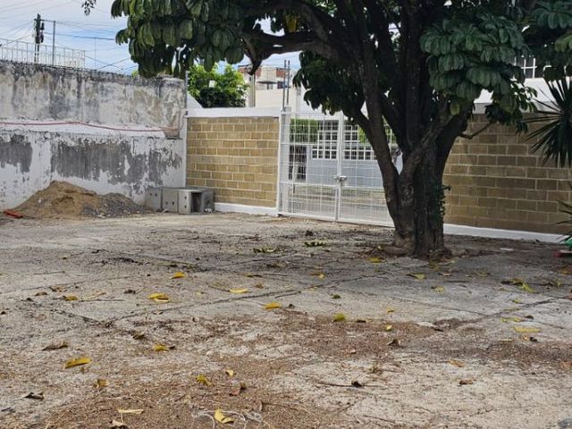 place photo 34