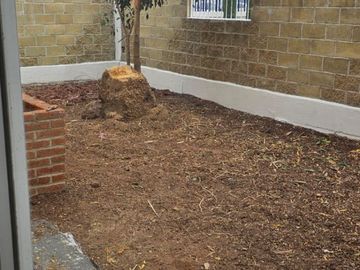 place photo 35