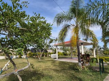 place photo 16