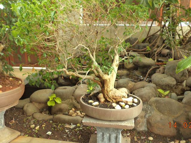 place photo 42