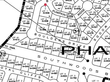 648 Sqm Vacant Corner Lot in Manila Southwoods — Facing Northeast