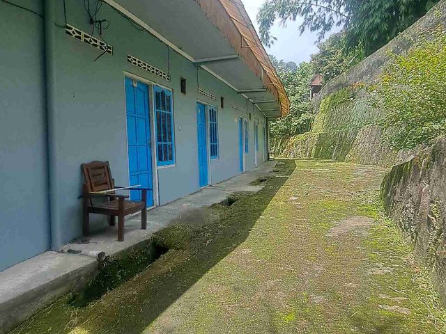 place photo 17