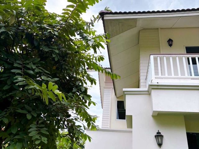 place photo 54