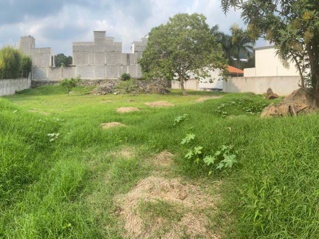place photo 24