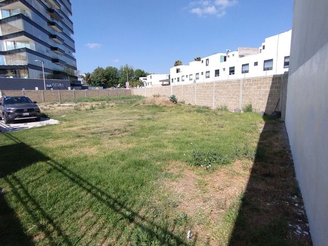 place photo 35