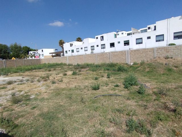 place photo 38