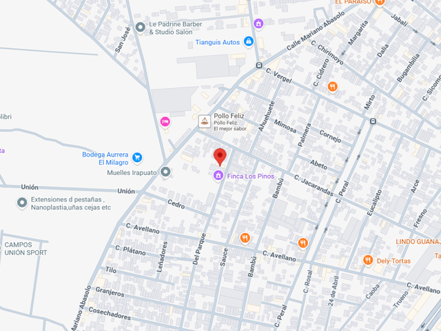 place photo 19
