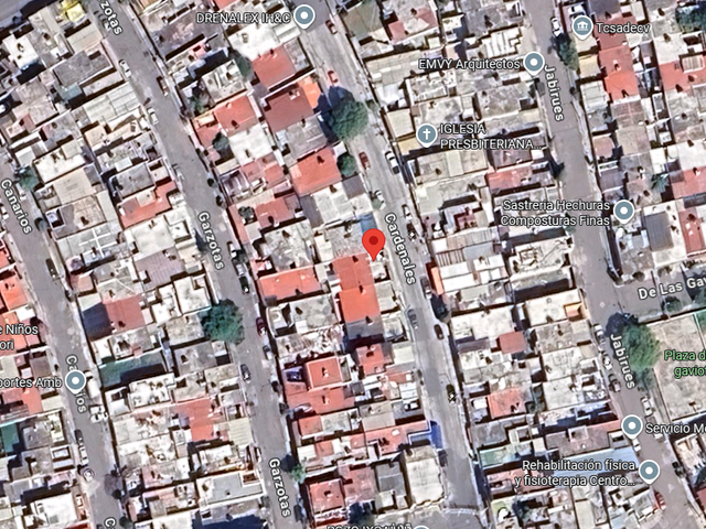 place photo 10