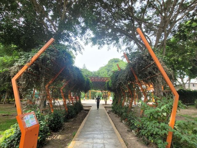 place photo 44