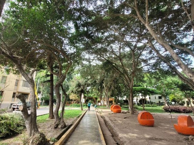 place photo 43