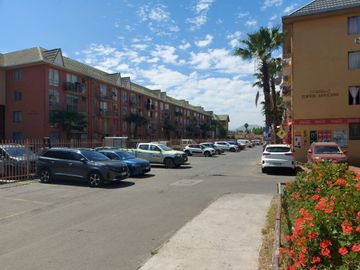 place photo 22