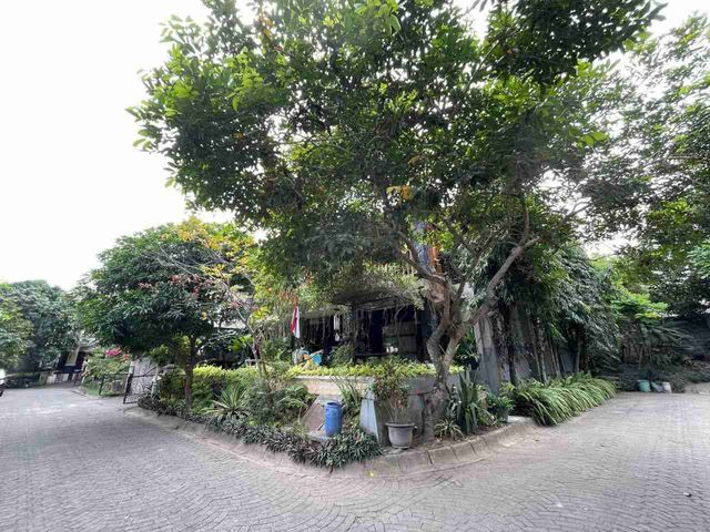 place photo 29