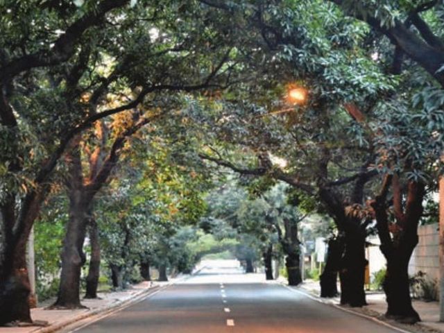 New Manila, Q.C. Old House and Lot for Sale
