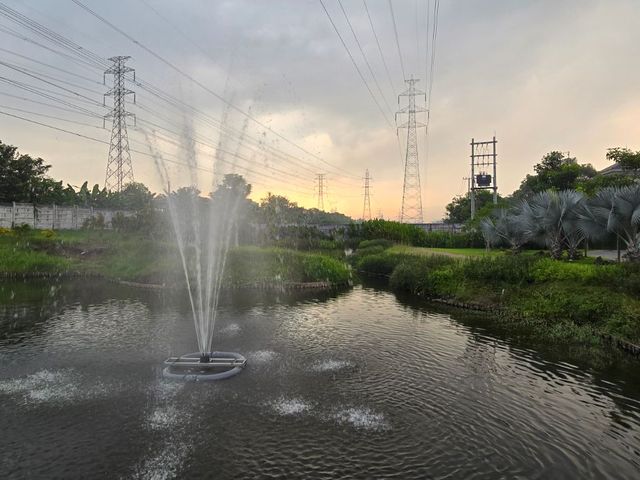 place photo 26