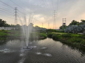 place photo 26