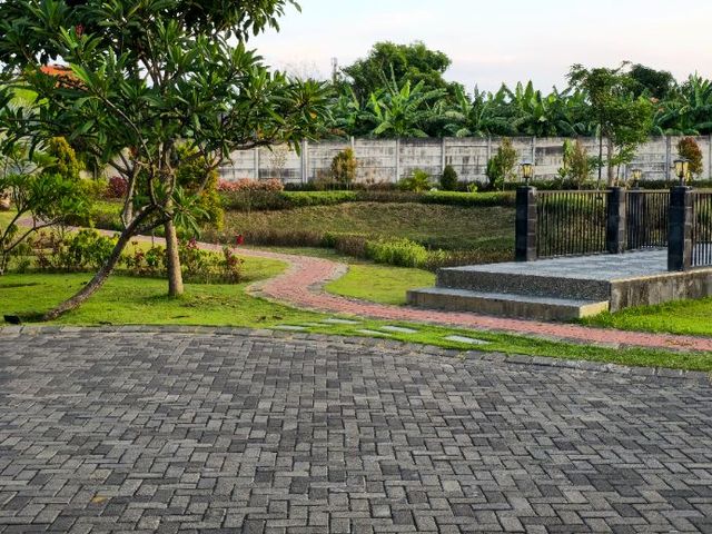 place photo 45