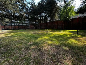 place photo 26