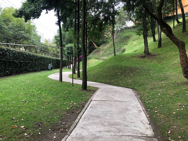 place photo 32