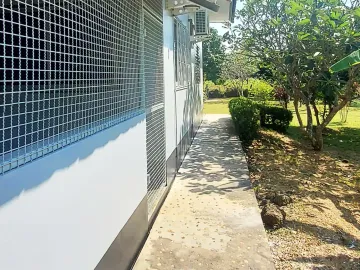 place photo 49