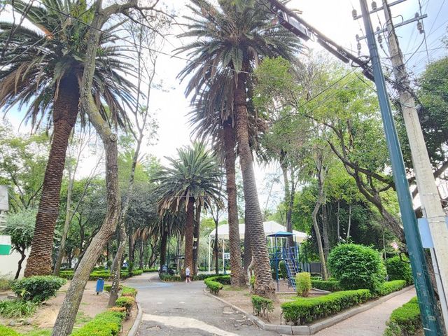 place photo 25