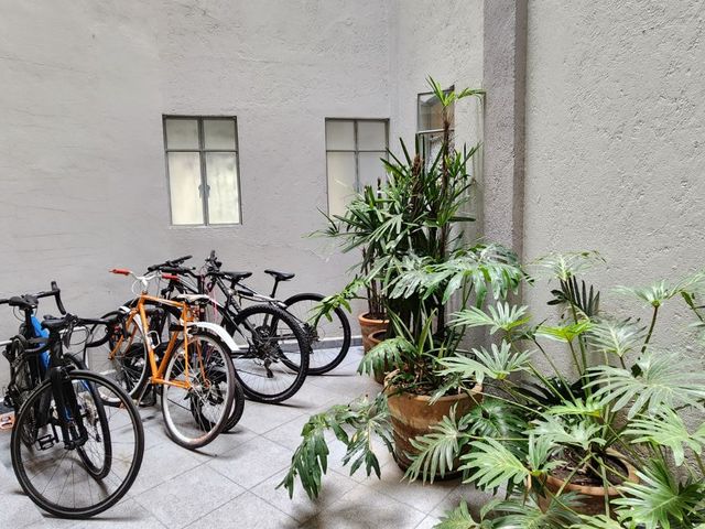 place photo 21
