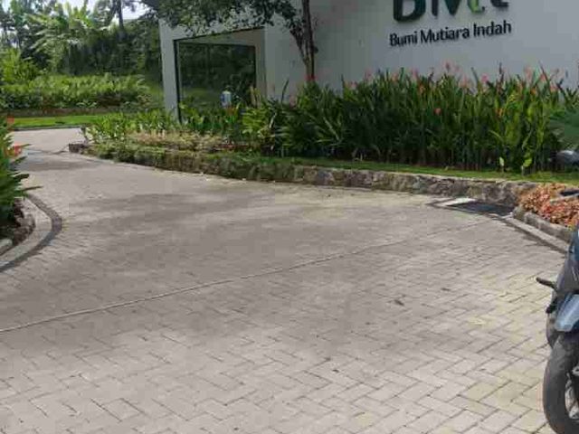 place photo 11
