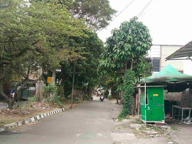 place photo 5
