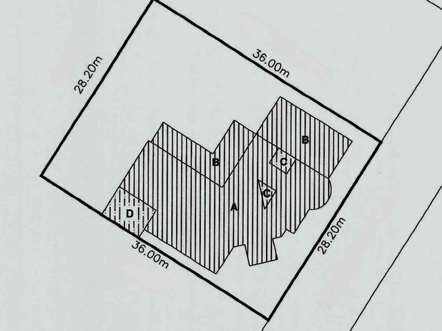 place photo 22