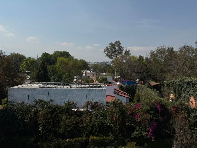 place photo 41