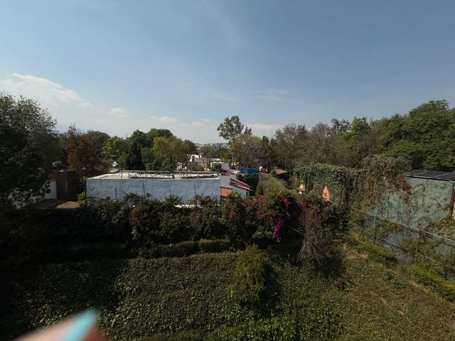 place photo 42