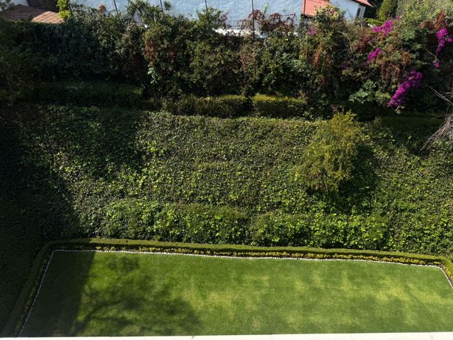 place photo 35