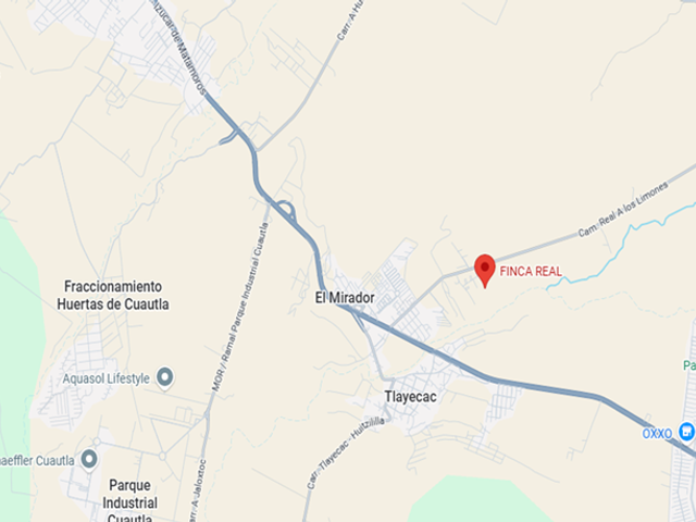 place photo 8
