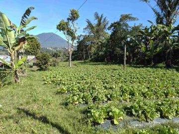 Apuan, Bali, TABANAN, Bali, Indonesia