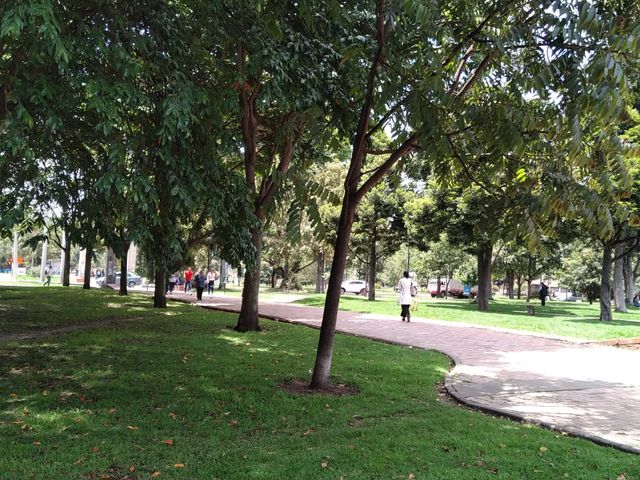 place photo 18