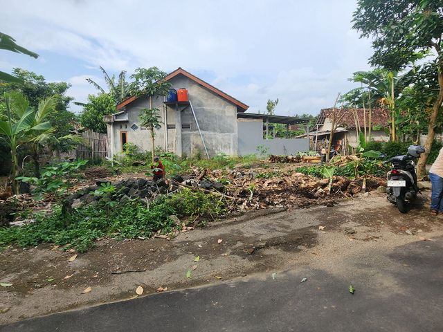 place photo 4