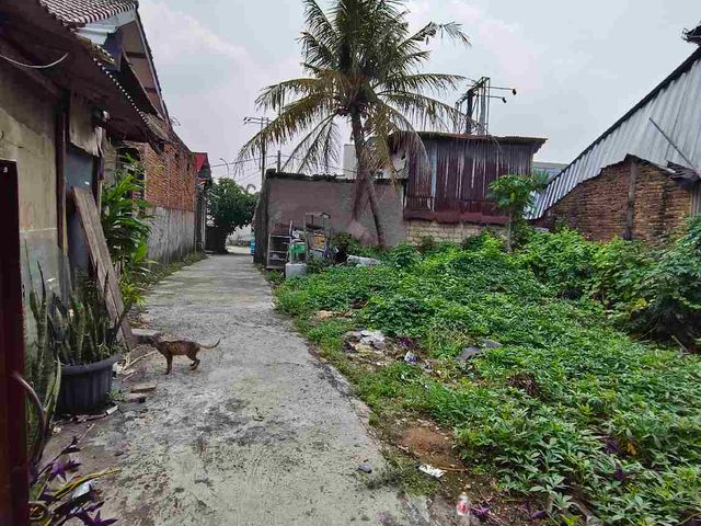 place photo 17
