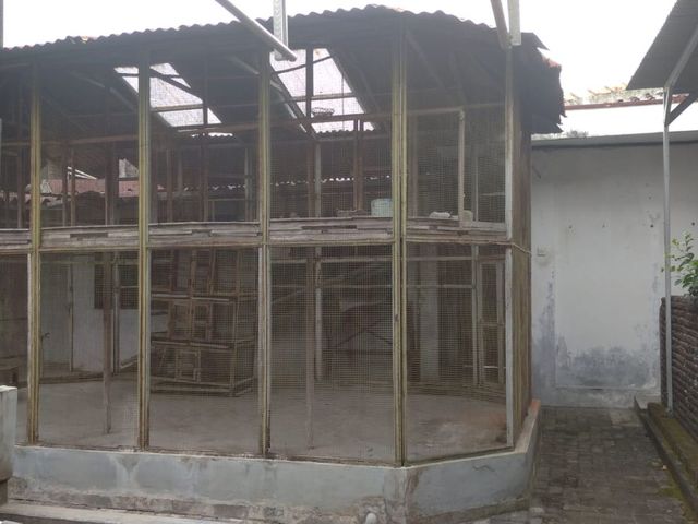 place photo 23