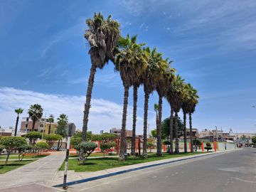 place photo 15