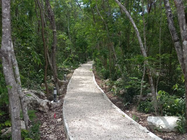 place photo 21