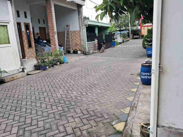 place photo 11