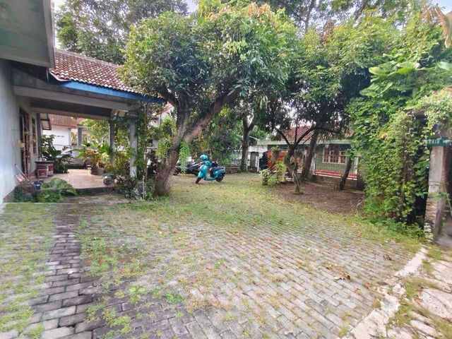 place photo 7