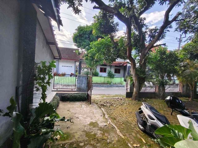 place photo 4