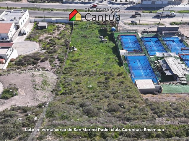 place photo 14