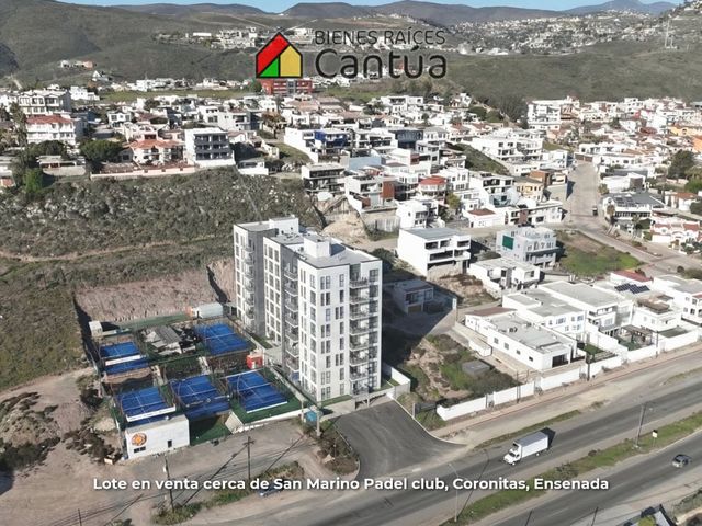 place photo 16