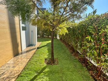 place photo 32