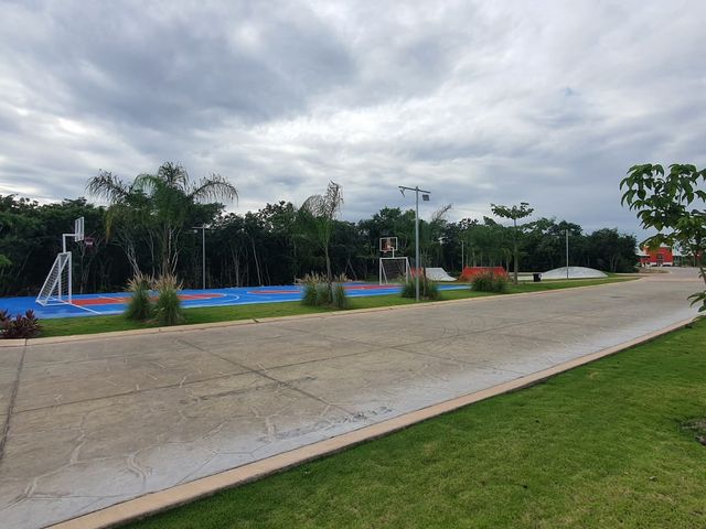 place photo 14