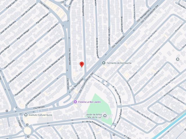 place photo 11