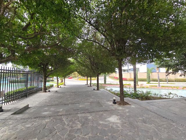 place photo 37